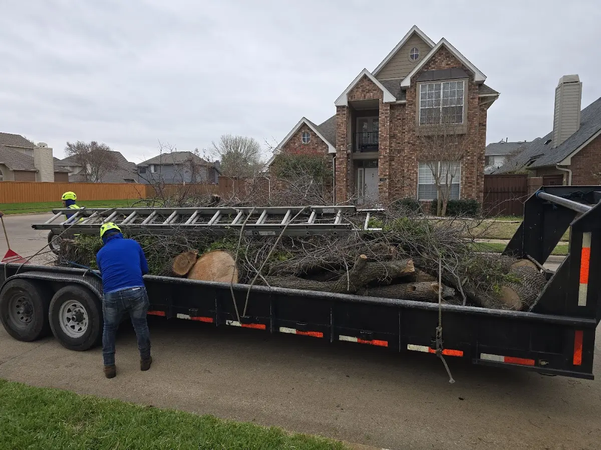 Expert Tree Removal with proper safety equipment in Huntsville
